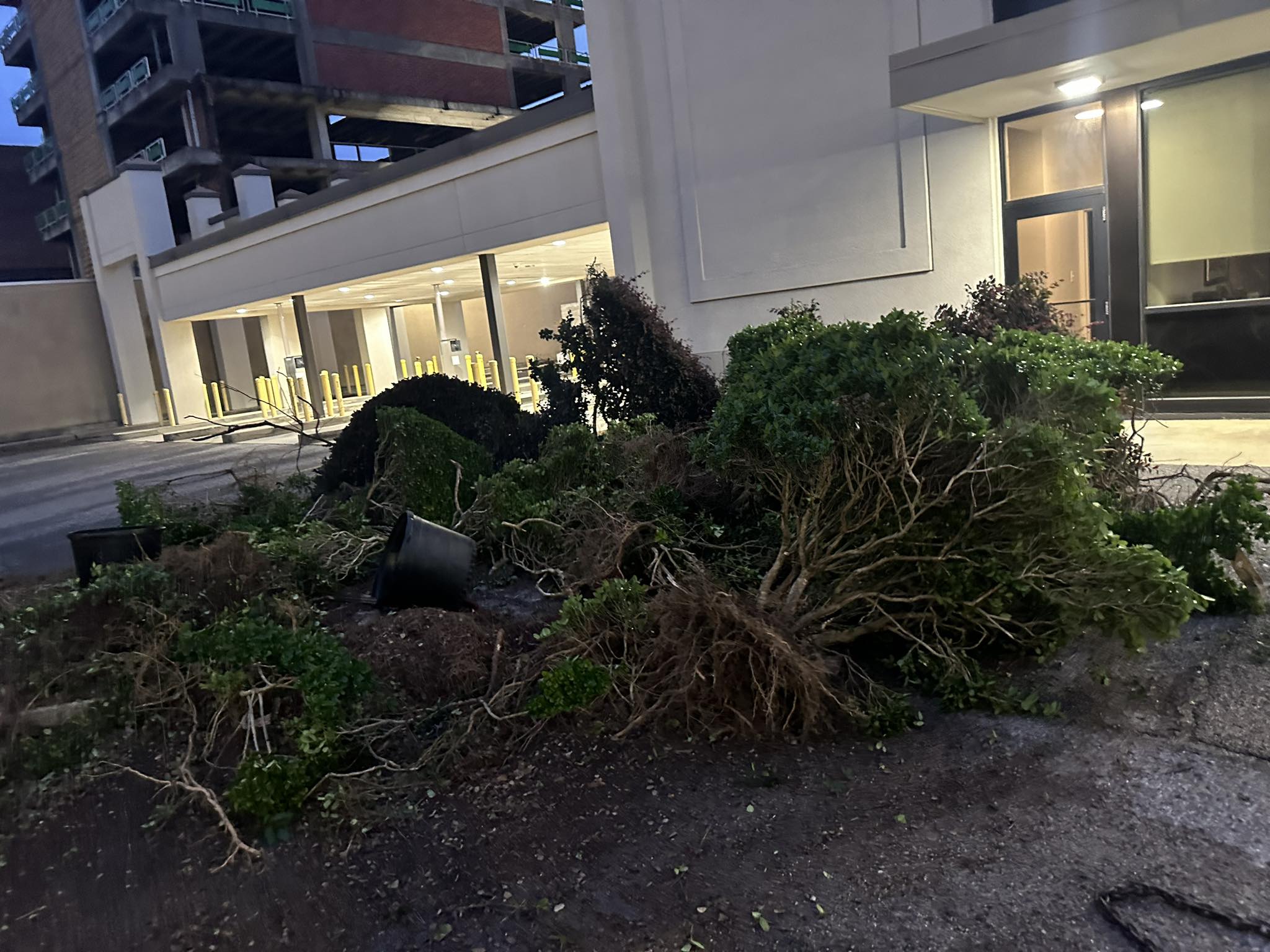 Clean Ups project by Sovereign Residential Services