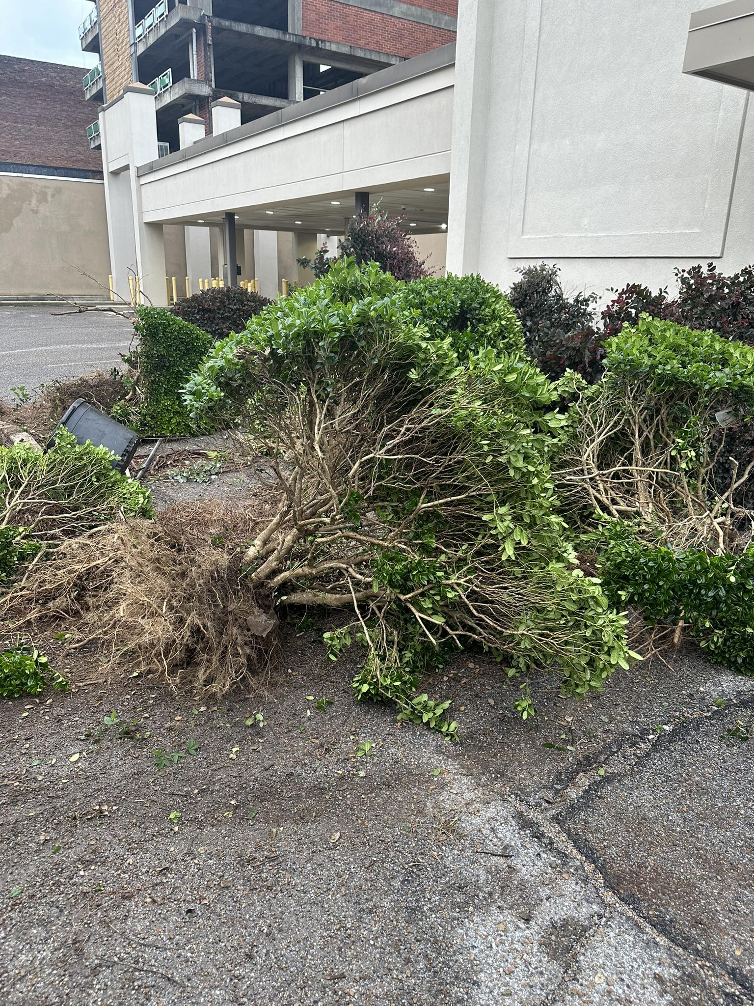 Clean Ups project by Sovereign Residential Services